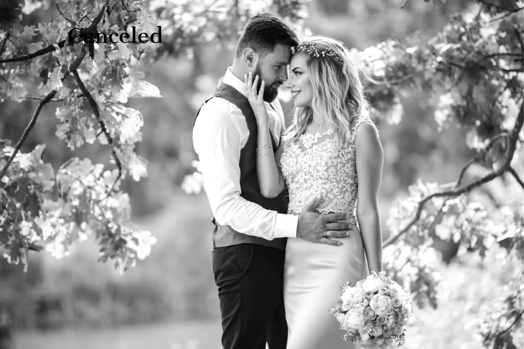mcevents-wedding-planner