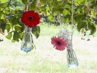 MC Events- Organiser son mariage en Aude MC Events- Organiser son mariage en Aude